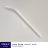 Smoothies Glass Straw Bent